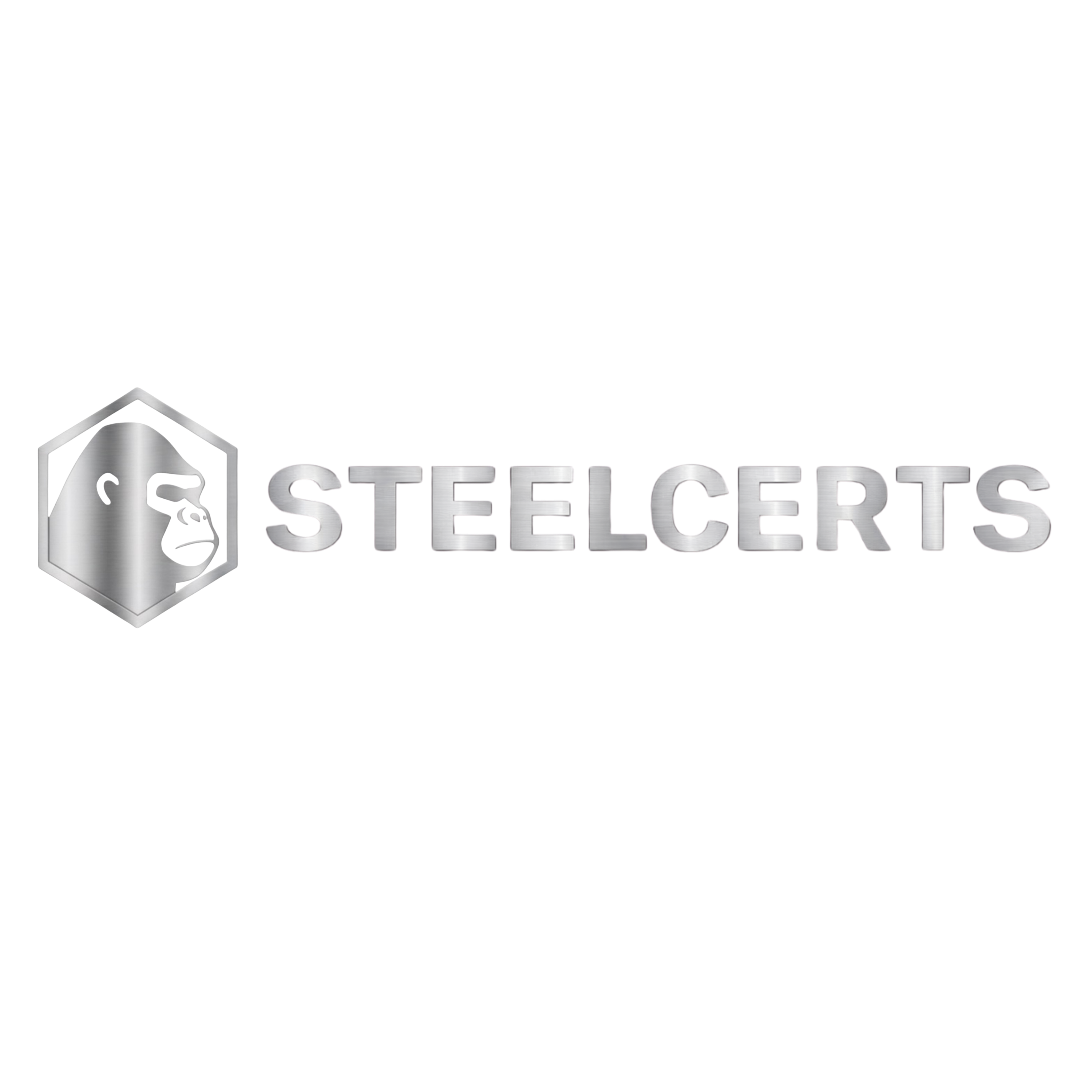 STEELCERTS PUBLISHING 